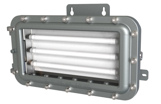 Tehlikeli Yer İçin IP66 LED Çıkış Acil Durum Işığı DC12-36V
