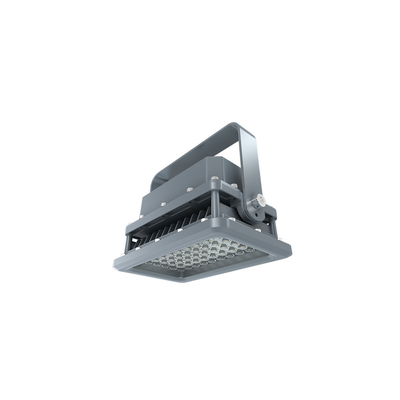 20-400W Patlama Korumalı LED Işıklar Kimya Endüstrisi IP66 Benzin İstasyonu
