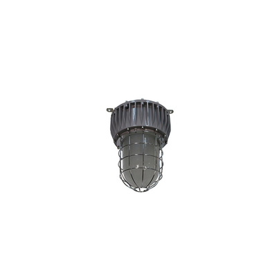 ATEX 40-100W Patlama Korumalı LED Yüksek Tavan Işıkları IP66