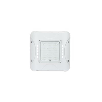 80W Patlama Korumalı LED Gölgelik Aydınlatma IP66 Alüminyum Muhafaza